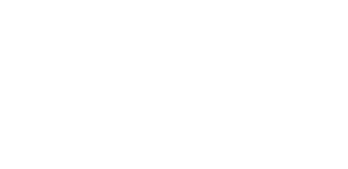 Twenty Four Brief